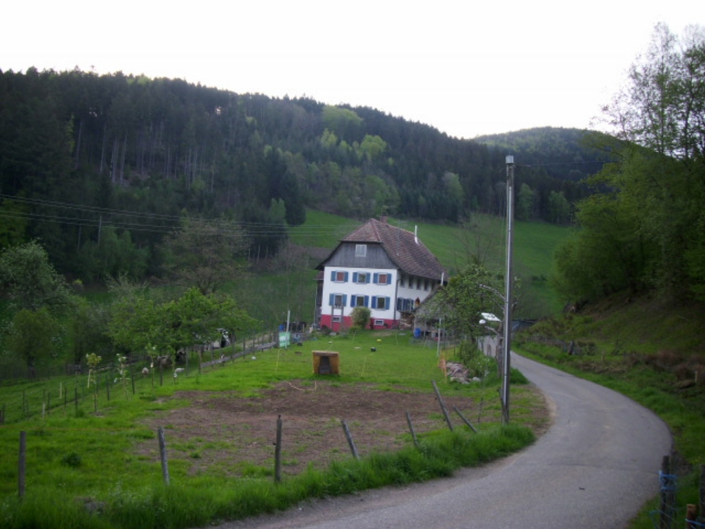 ../Images/Dsci0954.jpg