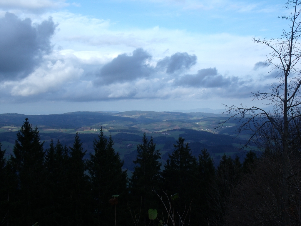 ../Images/Gedc1488.jpg