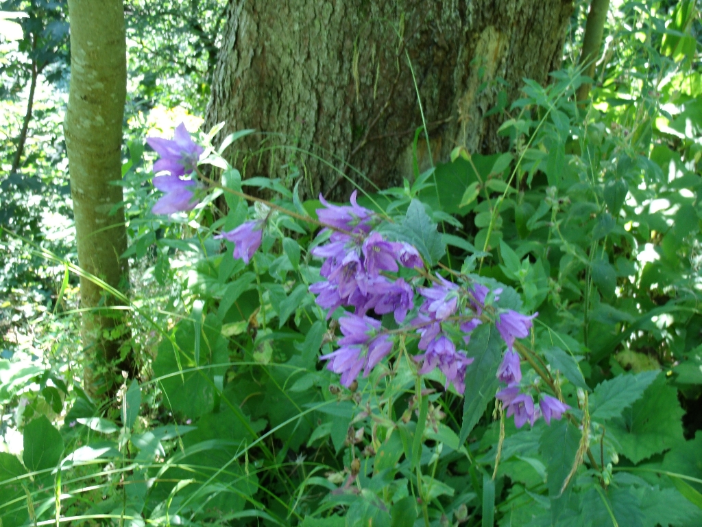 ../Images/Gedc0526.jpg