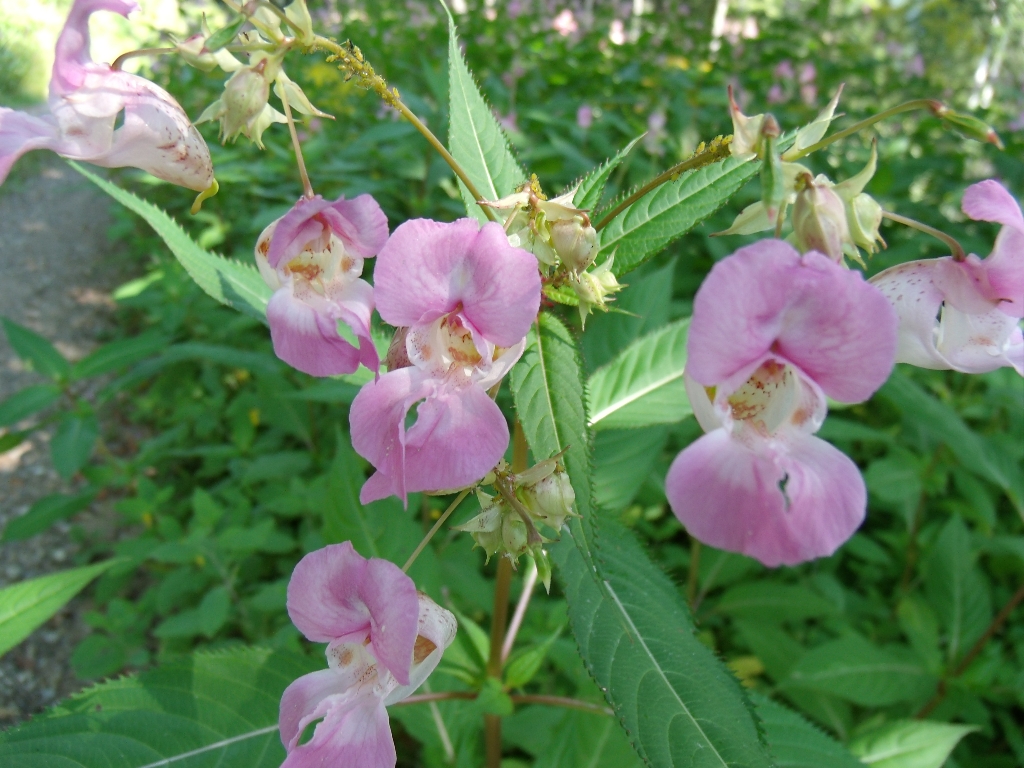 ../Images/Gedc0536.jpg