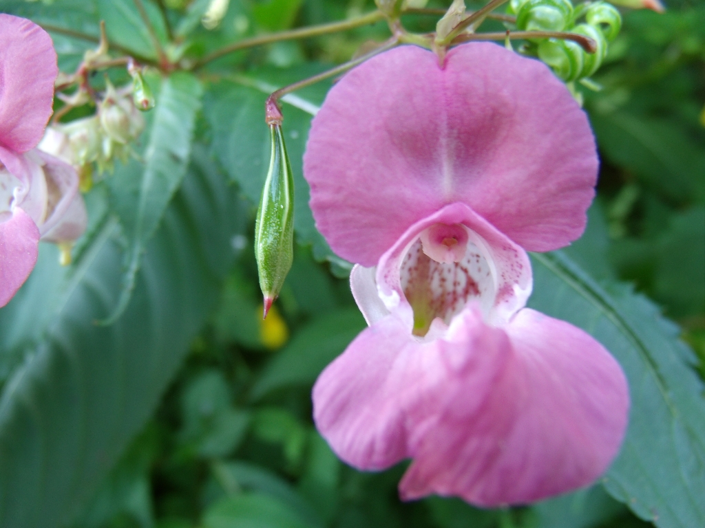 ../Images/Gedc0537.jpg
