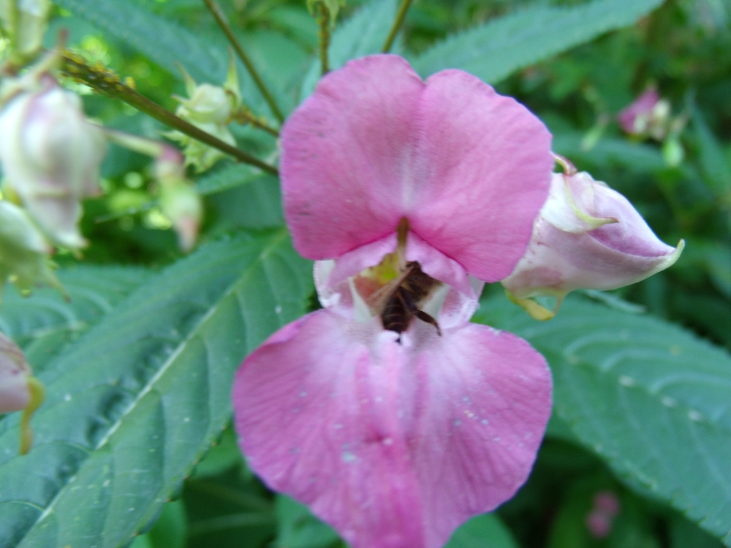 ../Images/Gedc0541.jpg