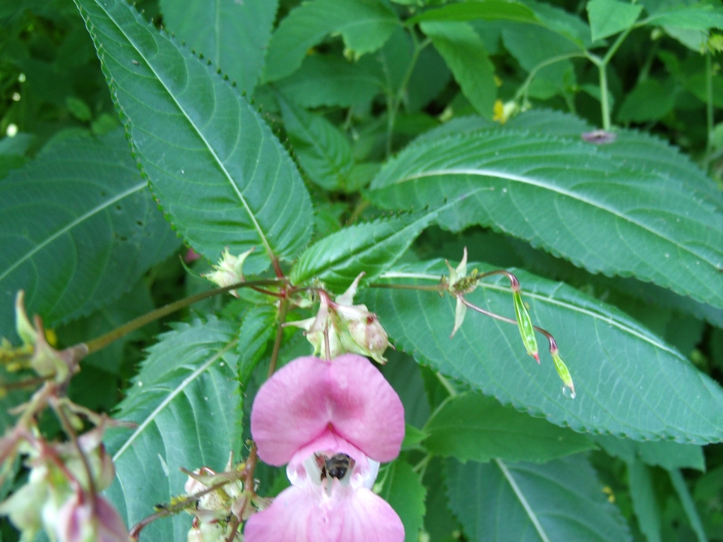 ../Images/Gedc0542.jpg
