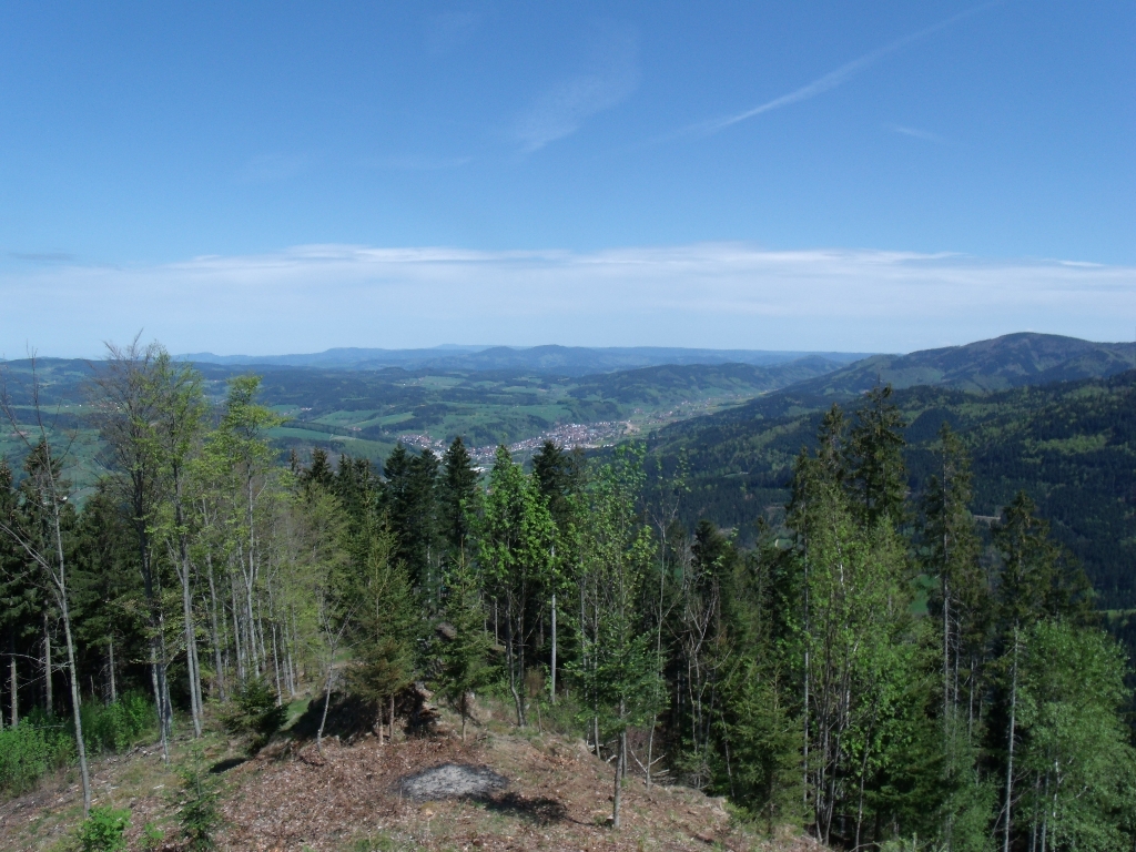 ../Images/Gedc1217.jpg