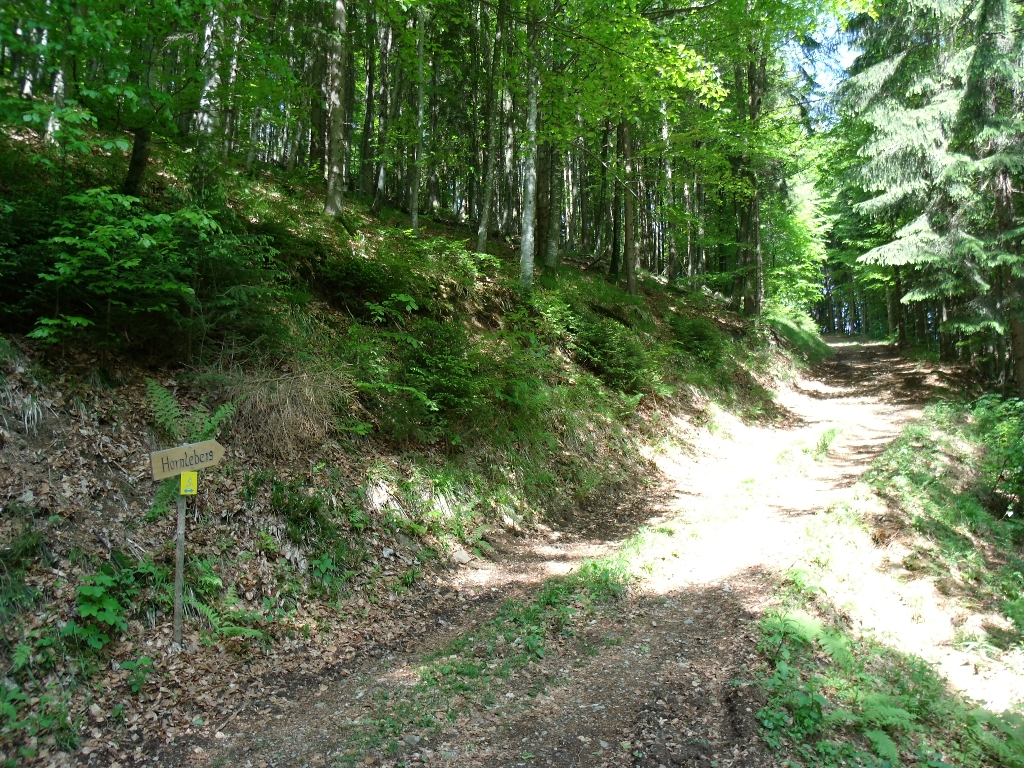 ../Images/Gedc1515.jpg
