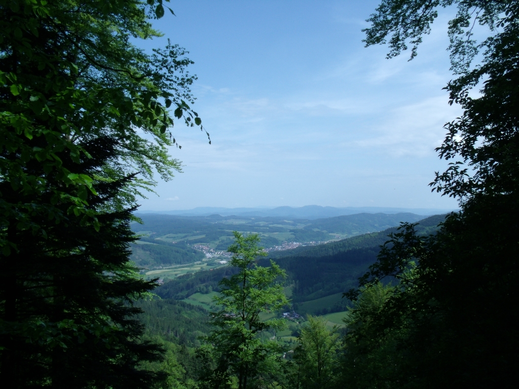 ../Images/Gedc1517.jpg