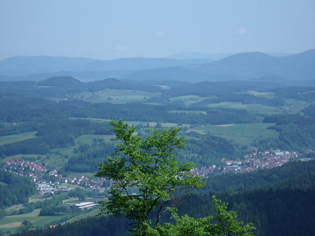 ../Images/Gedc1518.jpg