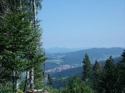 Thumbs/tn_Gedc0552.jpg