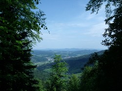 Thumbs/tn_Gedc1517.jpg