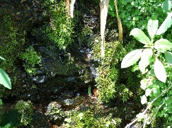 Thumbs/tn_Gedc1524.jpg