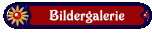 Bildergalerie